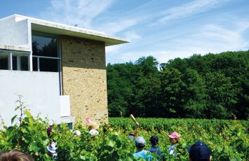 ESCAPE GAME AU MUSEE DU VIGNOBLE DE NANTES
