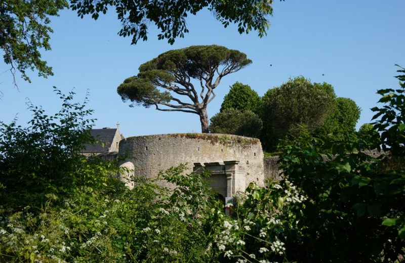 clisson mai 2023 le vignoble de nantes tourisme  (4) [1280×768]